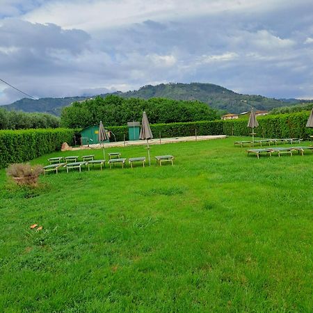 Il Chicco D'Oro Appartement Massarosa Buitenkant foto