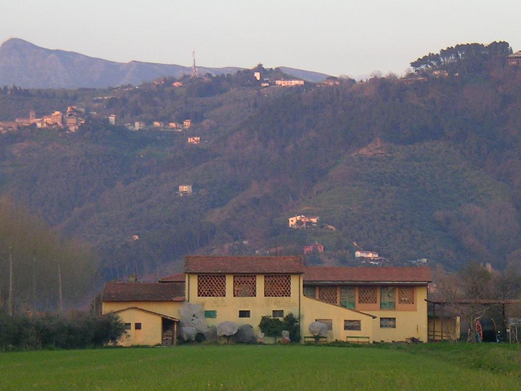 Il Chicco D'Oro Appartement Massarosa Buitenkant foto