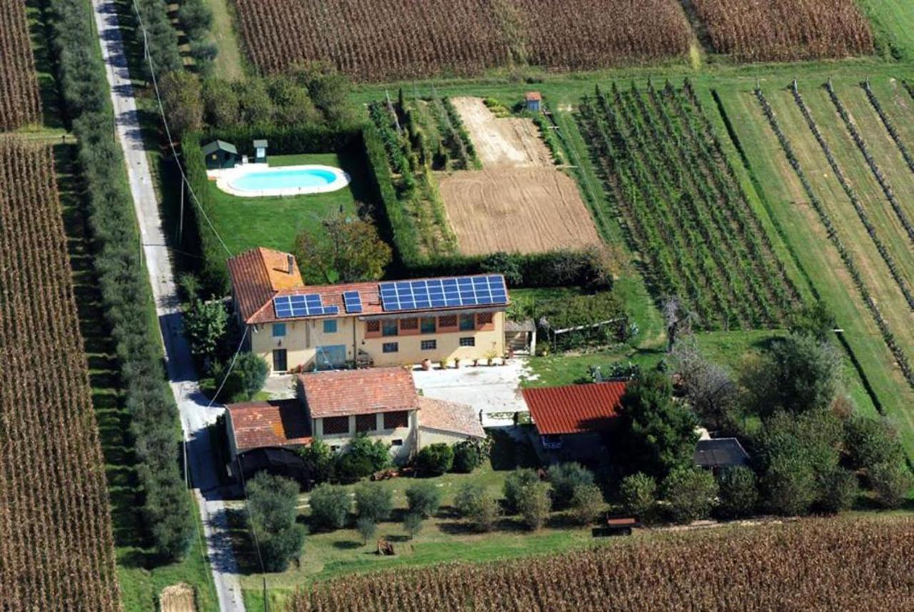 Il Chicco D'Oro Appartement Massarosa Buitenkant foto